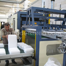 Automatic Vacuum Forming Line